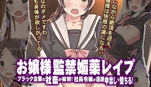 お嬢様監禁媚薬レ●プ-ブラック企業の社畜が復讐！社長令嬢が連続中出しで堕ちる！-