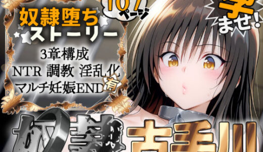 S計画 〜風紀委員・古◯川唯、奴◯堕ち〜