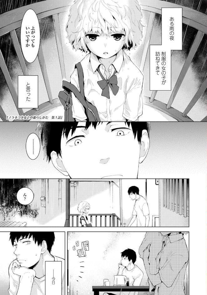 ノラネコ少女との暮らしかた 第1集【単行本版】