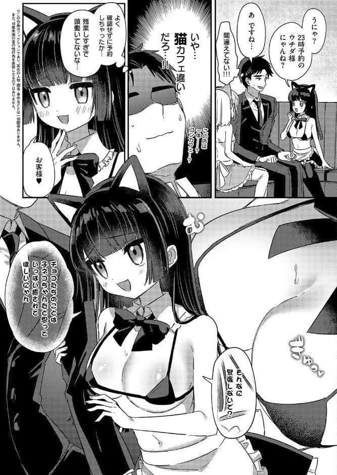 真夜中のねこカフェ