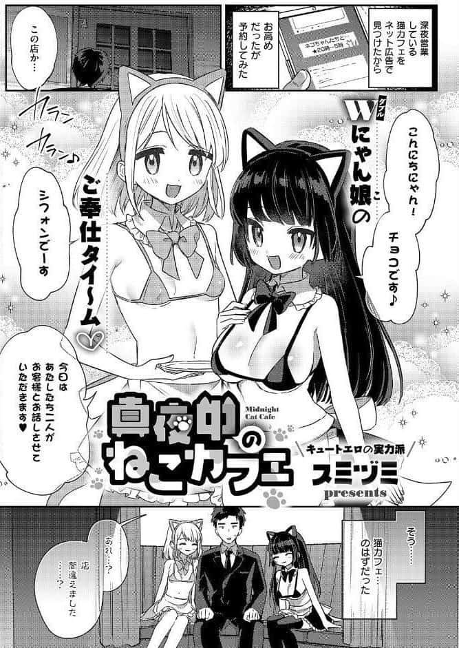 真夜中のねこカフェ