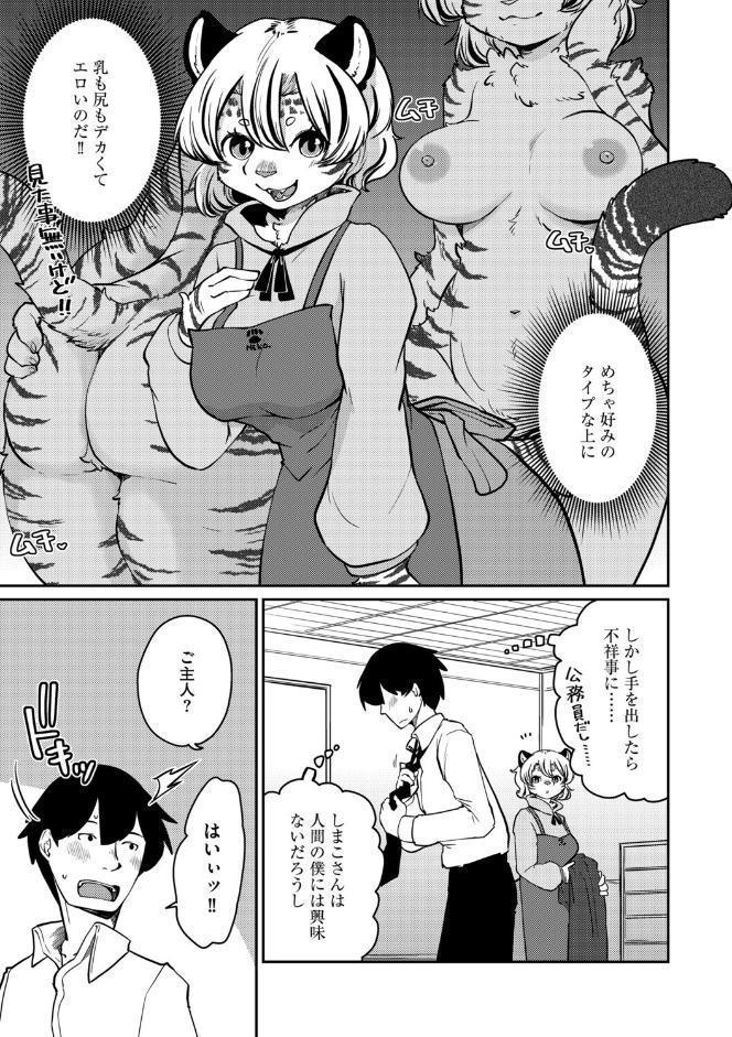 しましまハニー虎ップ【前編】