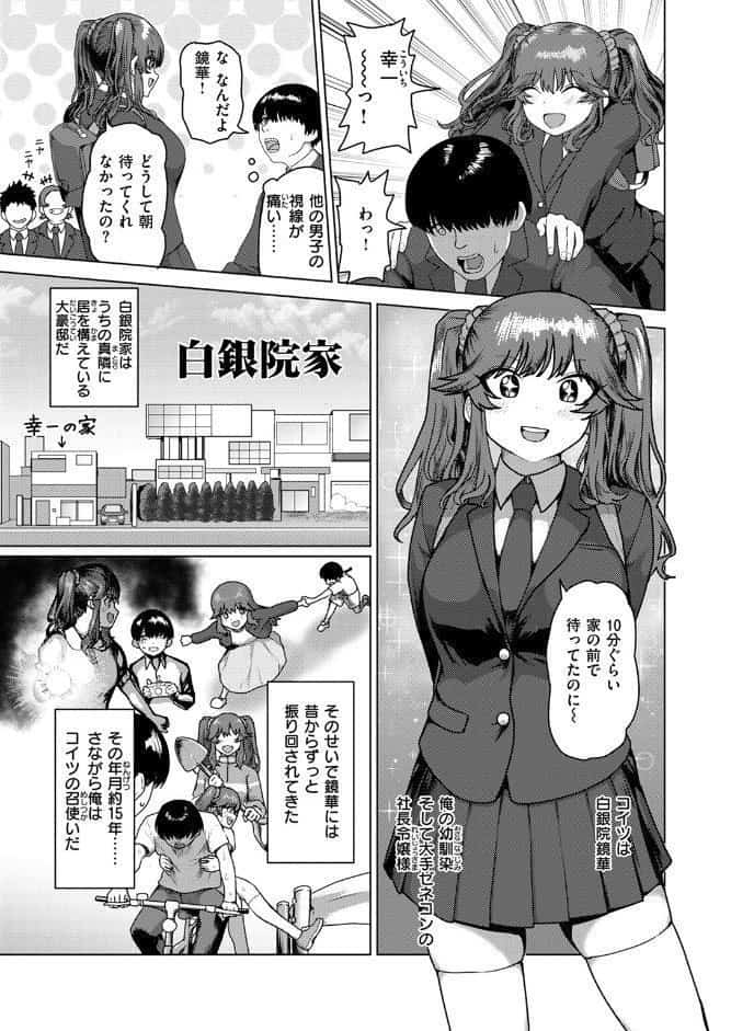 白銀院鏡華の秘密
