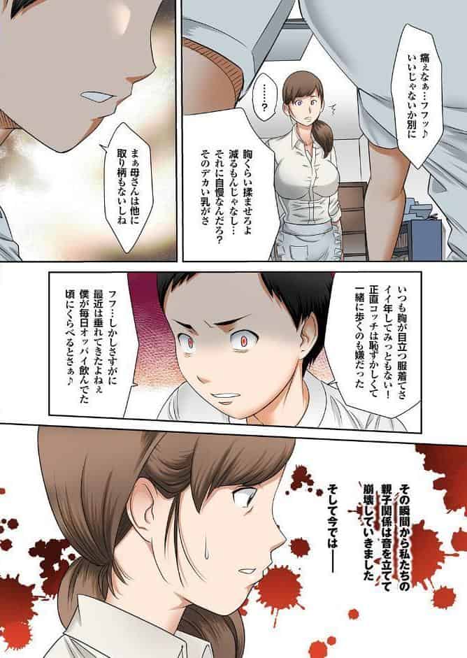 母肉便器