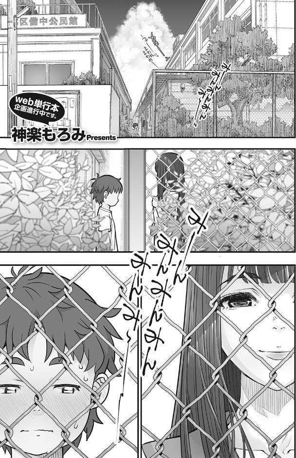 かなあみごしのなつやすみ