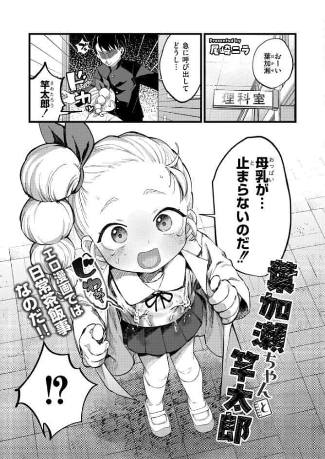 コミックカイエン（快艶） VOL.31