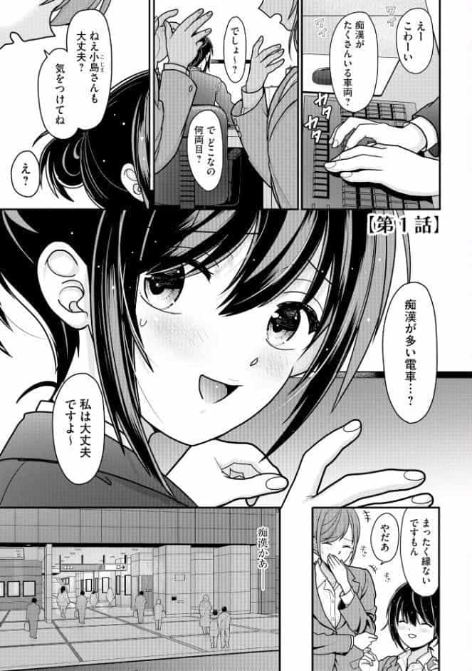 ヤれちゃう満淫電車 〜ちっぱい搾られてイっちゃう！〜【FANZA特典付】
