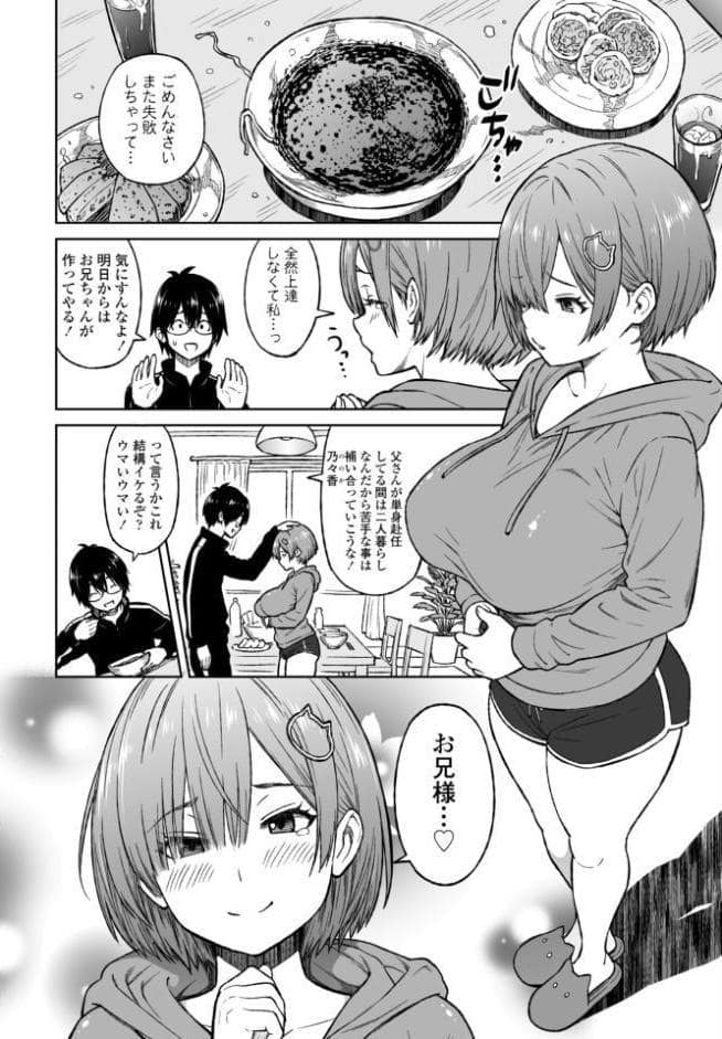 おかずりとるしすた〜
