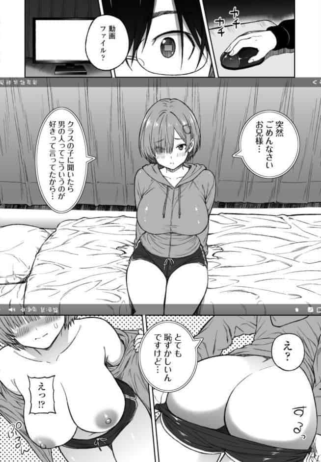 おかずりとるしすた〜