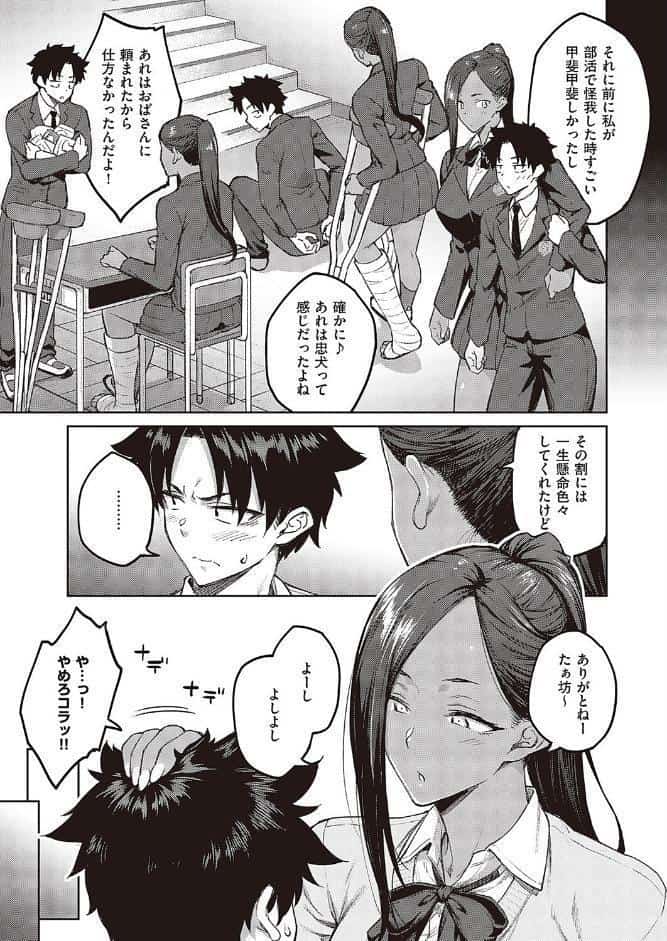 立葵
