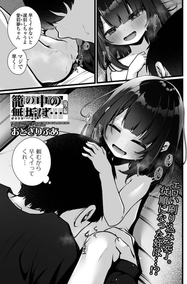 籠の中の無垢は… 後編