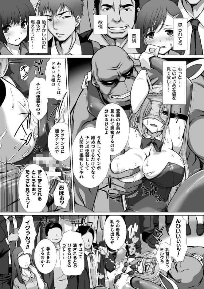 変幻装姫シャインミラージュ THE COMIC 1
