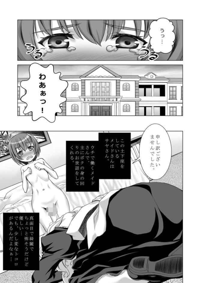 ウチのメイドさんはちょっと変