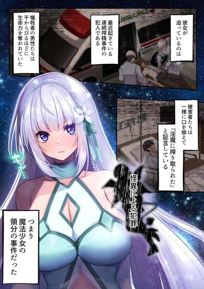 魔法少女セイントリリィ ・白光 〜淫夢を見せられ続けた魔法少女が淫魔に堕ちるまで〜