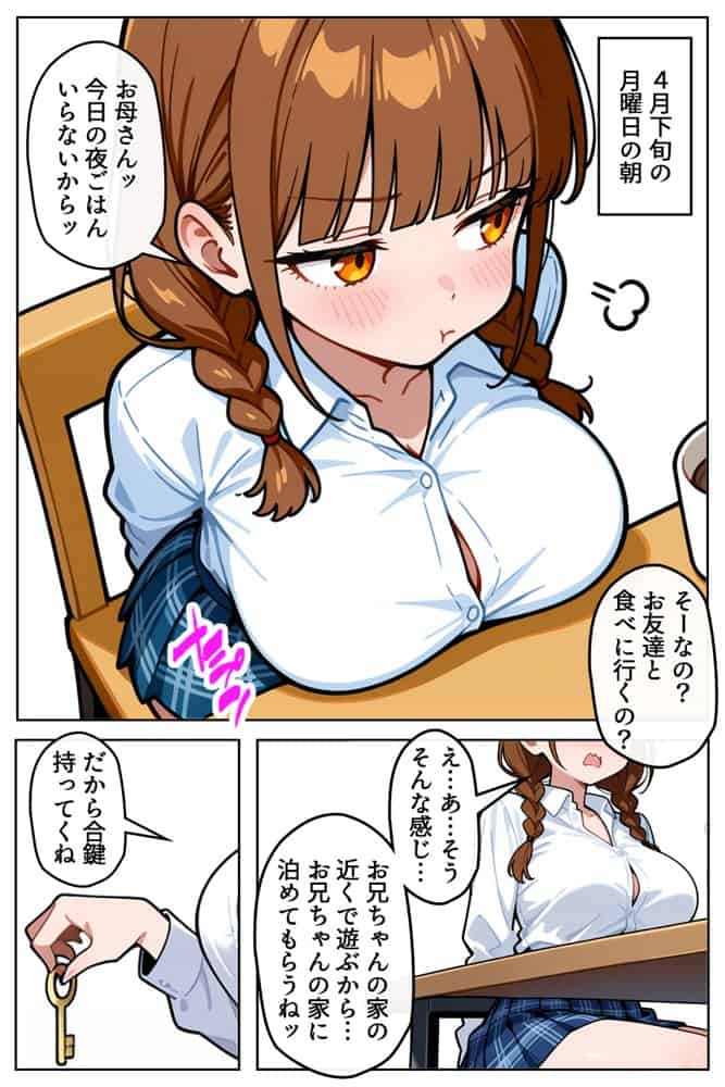 巨乳なツンデレ妹はほっとけない〜兄の家侵入編〜