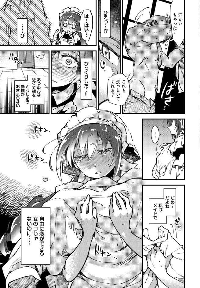 肉体ご奉仕が大好き系メイド vol.5