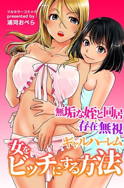 女をビッチにする方法〜無垢な姪と同居 存在無視 ギャルハーレム〜