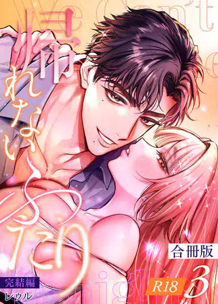 帰れないふたり【合冊版】【R-18版】 3巻 〜完結編〜