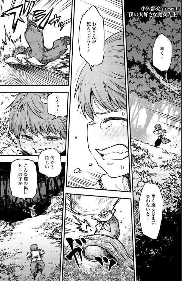 僕の大好きな魔女先生