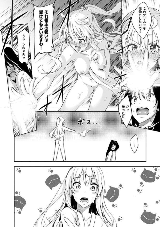 姉季折々