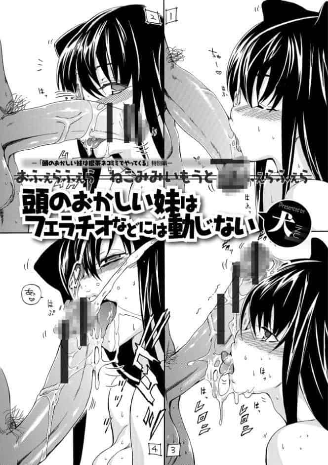 フルエルクチビル 豪華版