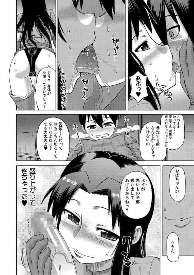 白雪騎士ホワイティ（30）【ハイグレード版】