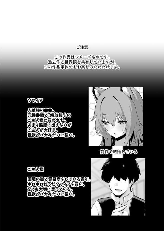ホンネを聞かせて2 モザイク版