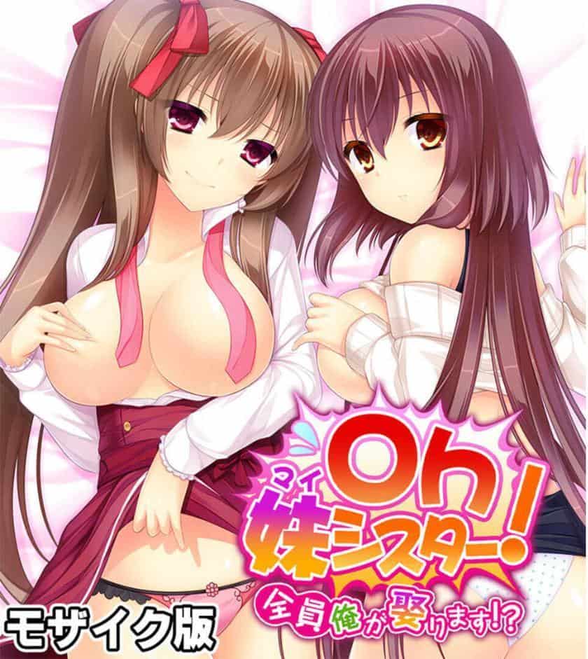 可愛いは正義！感度MAXな子 〜でも、女の子とは限りません！？〜【CG集コレクション】 モザイク版