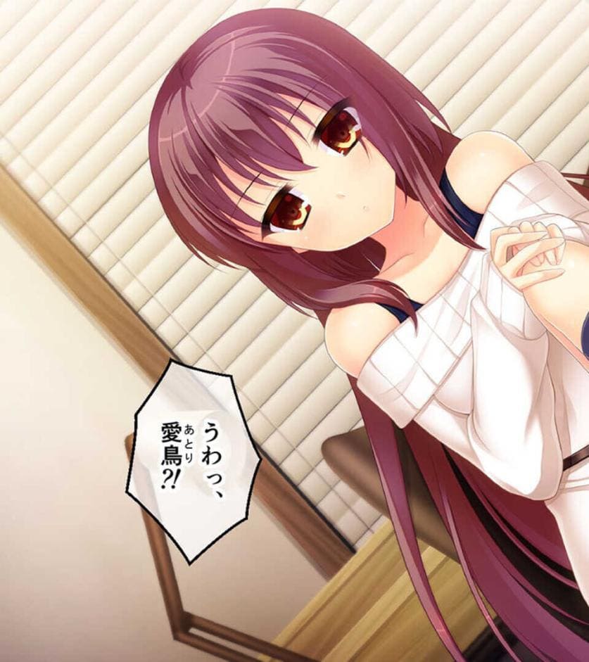 可愛いは正義！感度MAXな子 〜でも、女の子とは限りません！？〜【CG集コレクション】 モザイク版