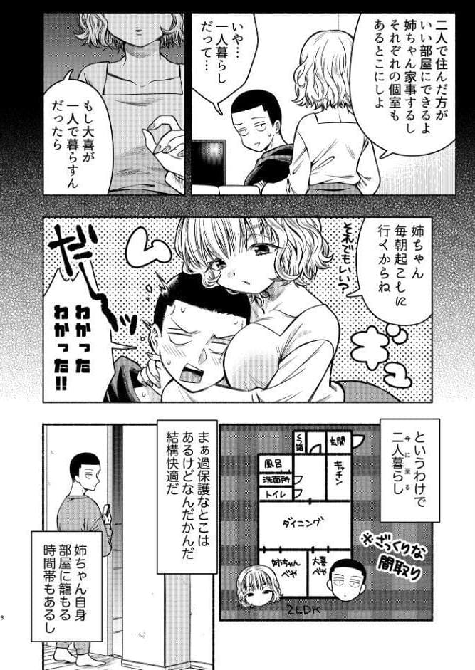 同棲してる姉と弟 〜一線を越えた夜〜