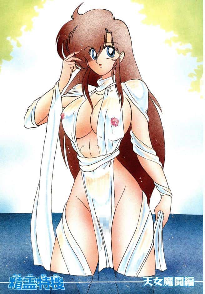 精霊特捜フェアリィセイバー 01 天女魔闘編