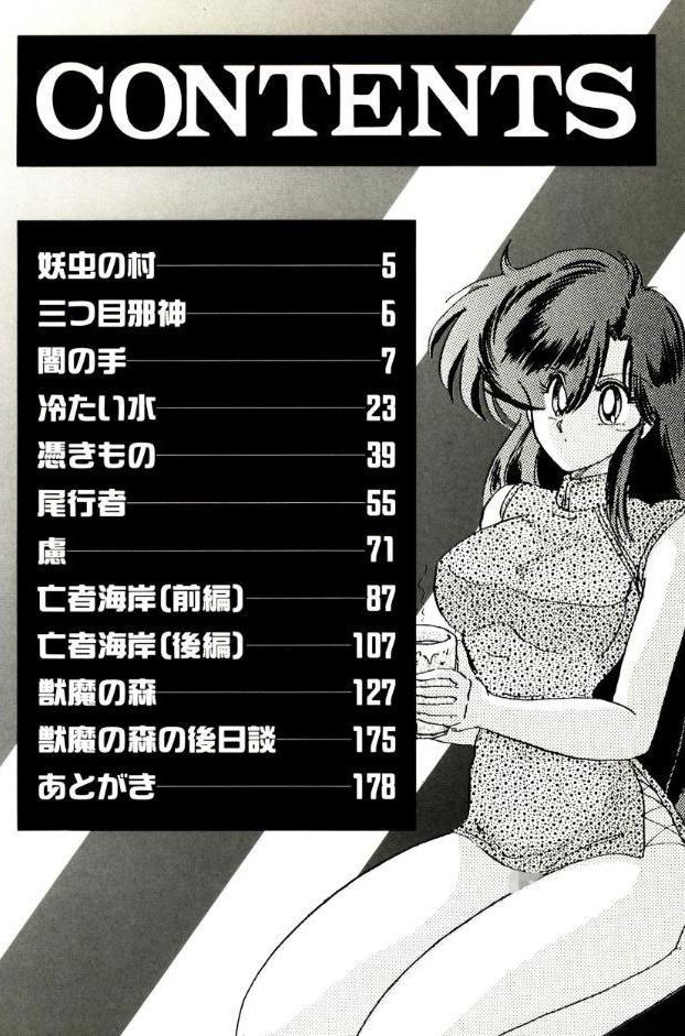 精霊特捜フェアリィセイバー 01 天女魔闘編