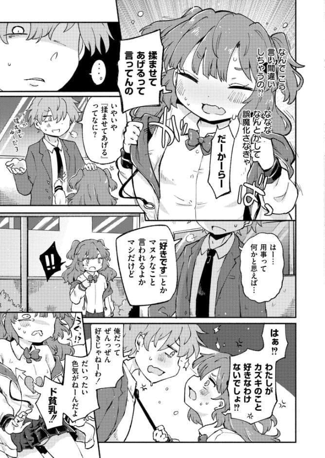 貧乳のくせに生意気だ！