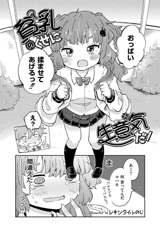 貧乳のくせに生意気だ！