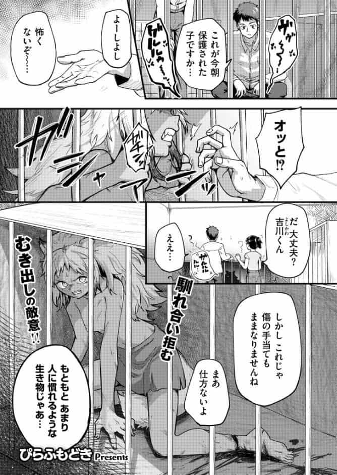 キョクトウギンイロジンロウちゃんの飼い方。