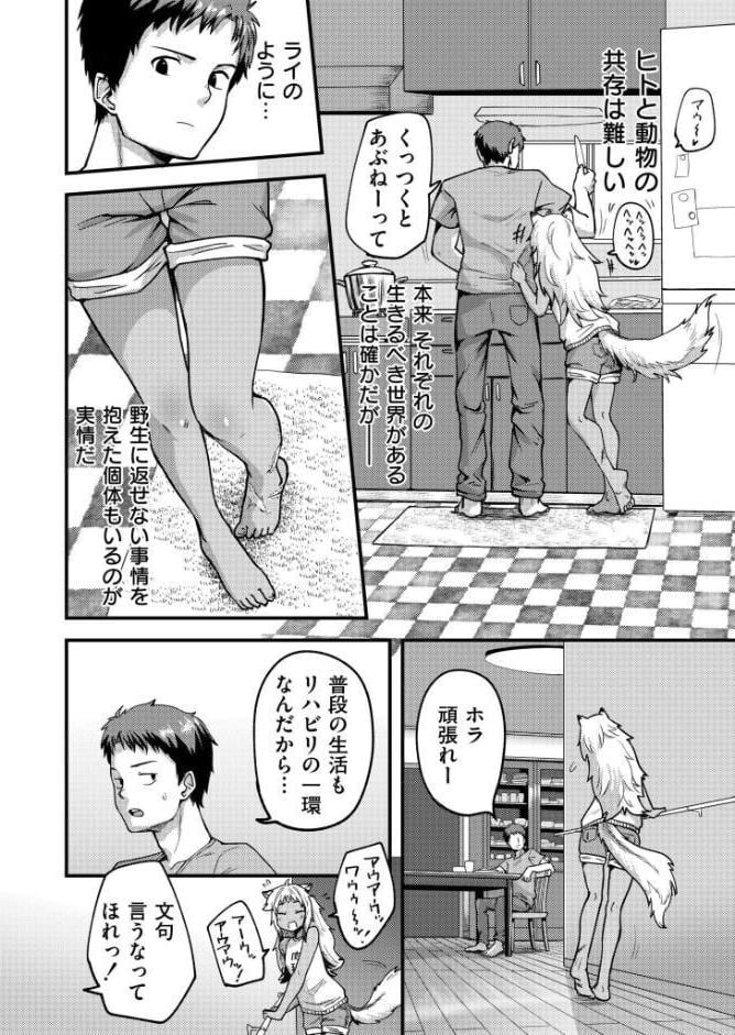 キョクトウギンイロジンロウちゃんの飼い方。