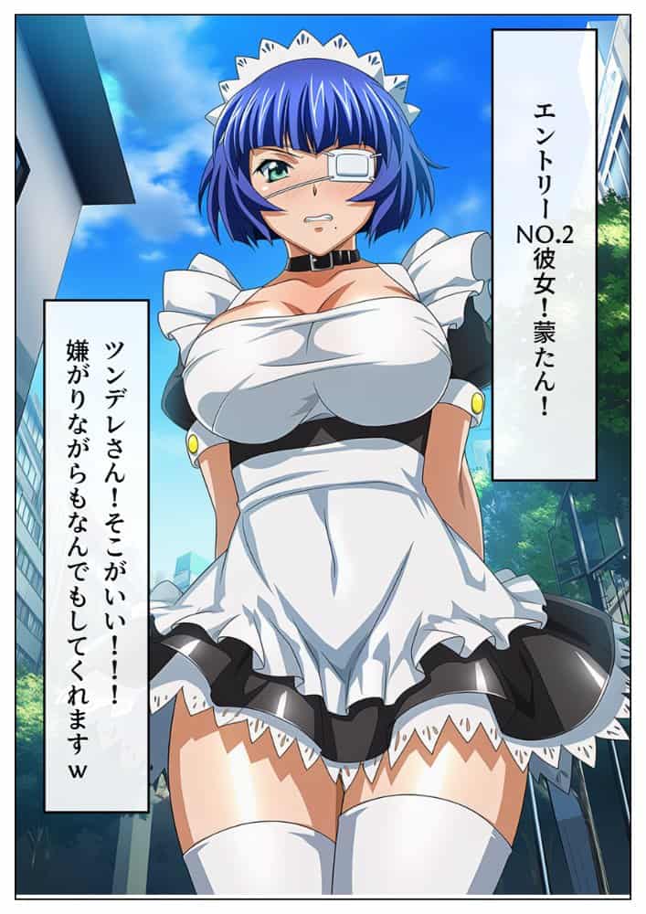 アコガレトランス 〜憧れのあの女は僕のもの〜 一騎◯千 孫策◯符編