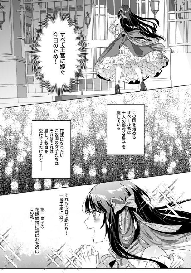 10人のドS皇子に求婚されましたアンソロジー【成年版】