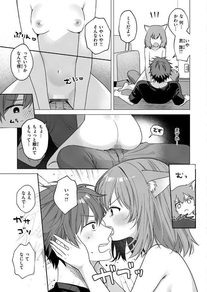 発情にゃんこはご主人様に甘えたい