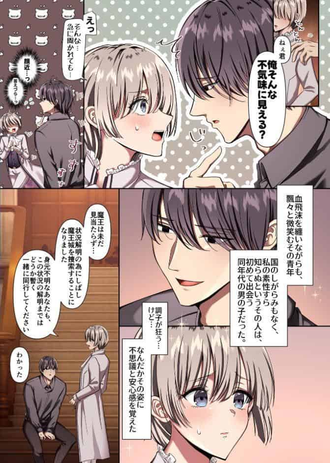 愛を知らぬ姫騎士は、スパダリ魔王の溺愛調教に抗えない〜世界を救うために孕むまで連続中出し監禁性活〜【R18版】