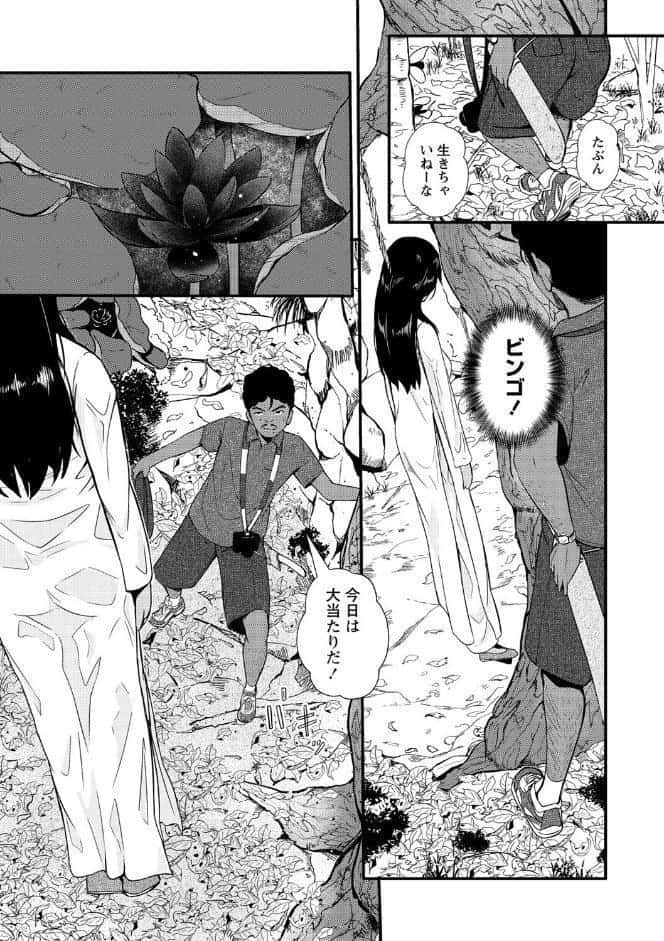 黒い蓮の贈り物