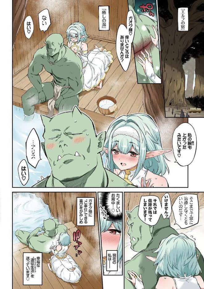 異邦ノ乙女フルカラーシリーズ （1） 愛しのオーク様