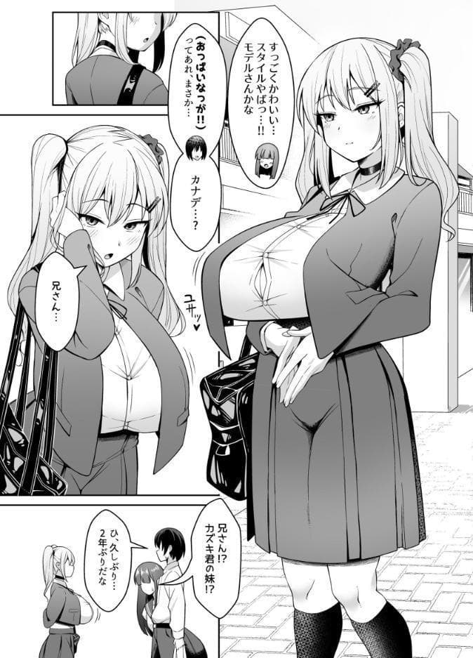 兄ラブ高湿度長乳妹に迫られて孕ませちゃう話【電子版】