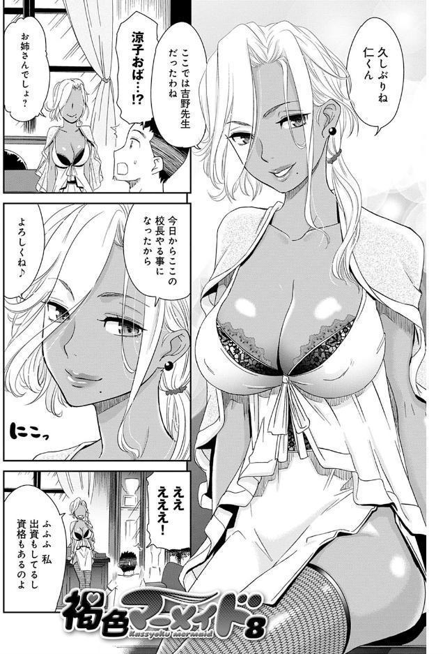 褐色マーメイド