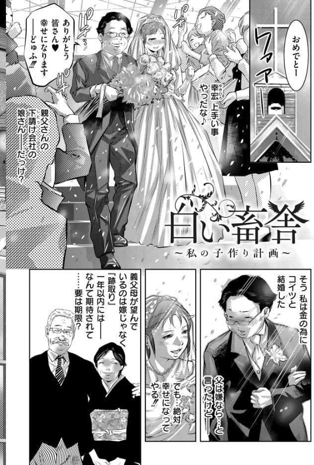 人妻姦堕ち録