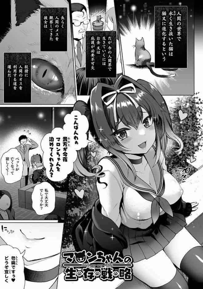 雌吹きスパークル