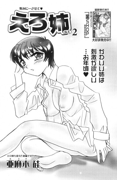 えろ姉 2